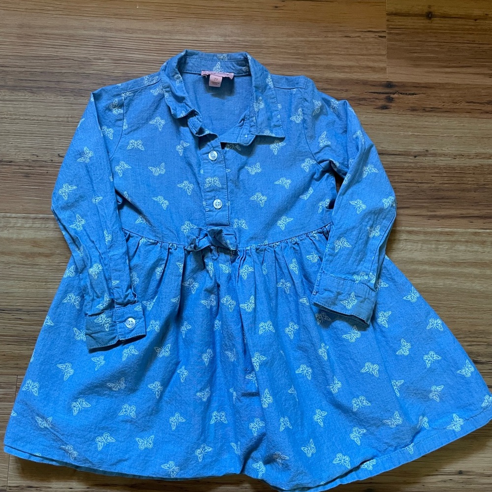 Blue Butterfly Print Dress and Brown Floral Dress